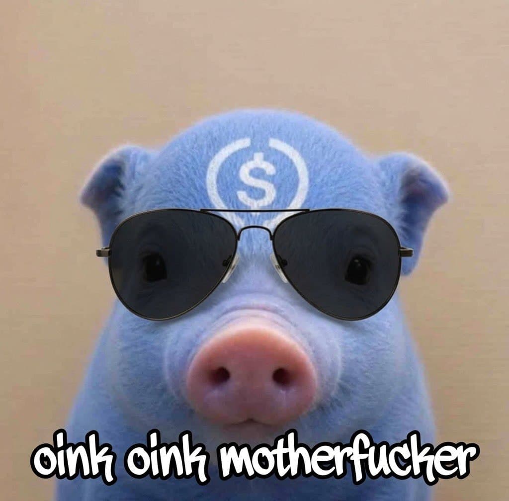 blue pig with sunglasses oink oink motherfucker
